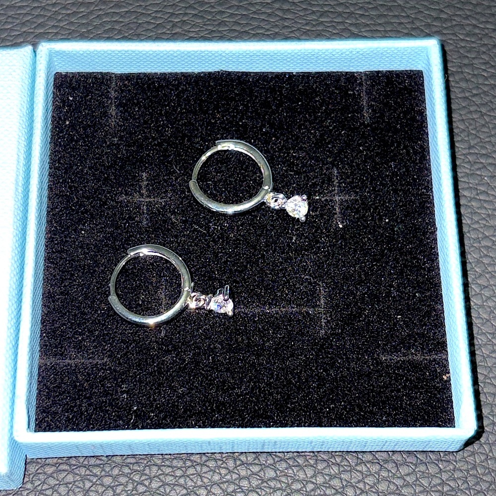 Small hoop earrings